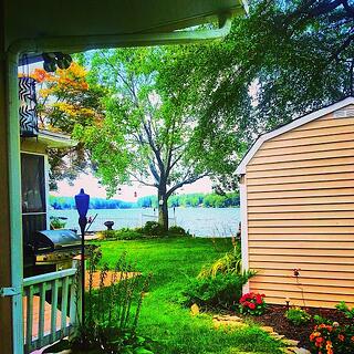Aunties_back_yard