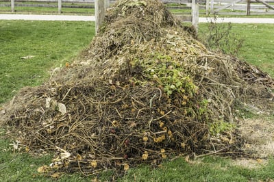 compostable packaging heap