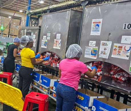 industrial packaging team production hand assemblers